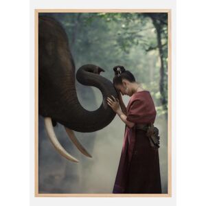 Bildverkstad Respect The Elephant Poster (40x50 Cm)