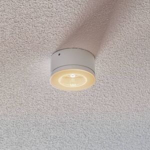Egger Licht Inom- och utomhusbruk - LED-takspotlight Newton 35