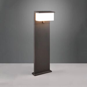 Trio Lighting Nestos LED-lampa för gångväg med rörelsesensor, IP54