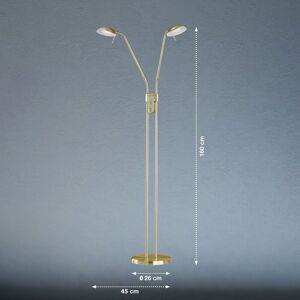 FISCHER & HONSEL LED-golvlampa Pool, mässingsfärgad, höjd 160 cm, 2-ljus.