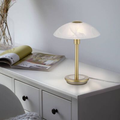 Paul Neuhaus Enova Touch Dimmable Bordslampa - Mässing, 3000K Paul Neuhaus Enova Touch Dimmable Bordslampa - Mässing, 3000K