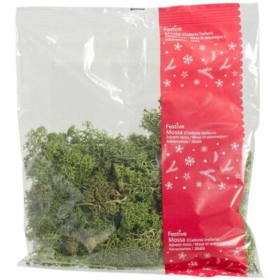 NO BRAND Dekoration mossa grön 100g NO BRAND Dekoration mossa grön 100g