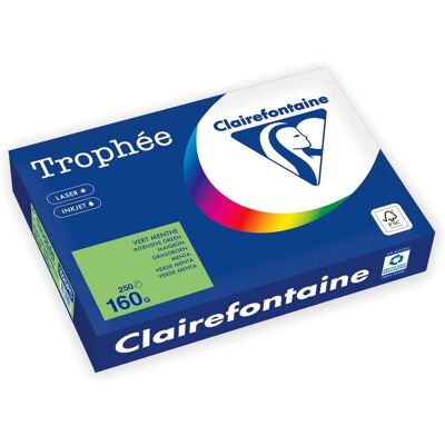 Clairefontaine Trophée Intens färgat papper - A4 160g Clairefontaine Trophée Intens färgat papper - A4 160g