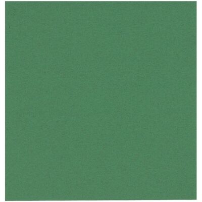 ABENA Servett 1-lags 33x33cm grön 250/fp ABENA Servett 1-lags 33x33cm grön 250/fp