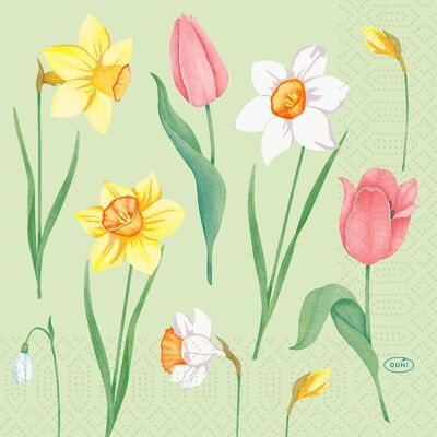 Duni - Melody - 33x33 cm - 3-layer - Napkins Duni - Melody - 33x33 cm - 3-layer - Napkins