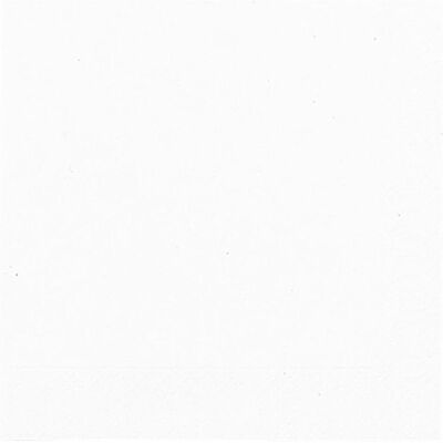 DUNI Servett 1-lags, enfärgad, 33 cm, vit 500/fp DUNI Servett 1-lags, enfärgad, 33 cm, vit 500/fp