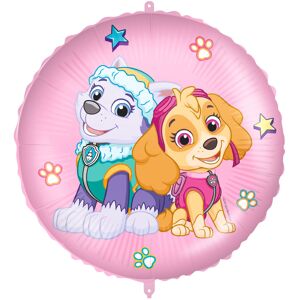 PROCOS Paw Patrol Skye & Everest Folieballong