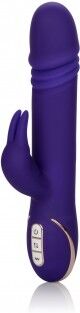 Thrusting Rabbit Signature Thrusting Rabbit Signature