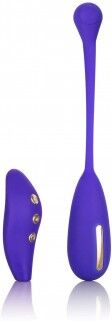 Estim Remote Kegel Exerciser Estim Remote Kegel Exerciser