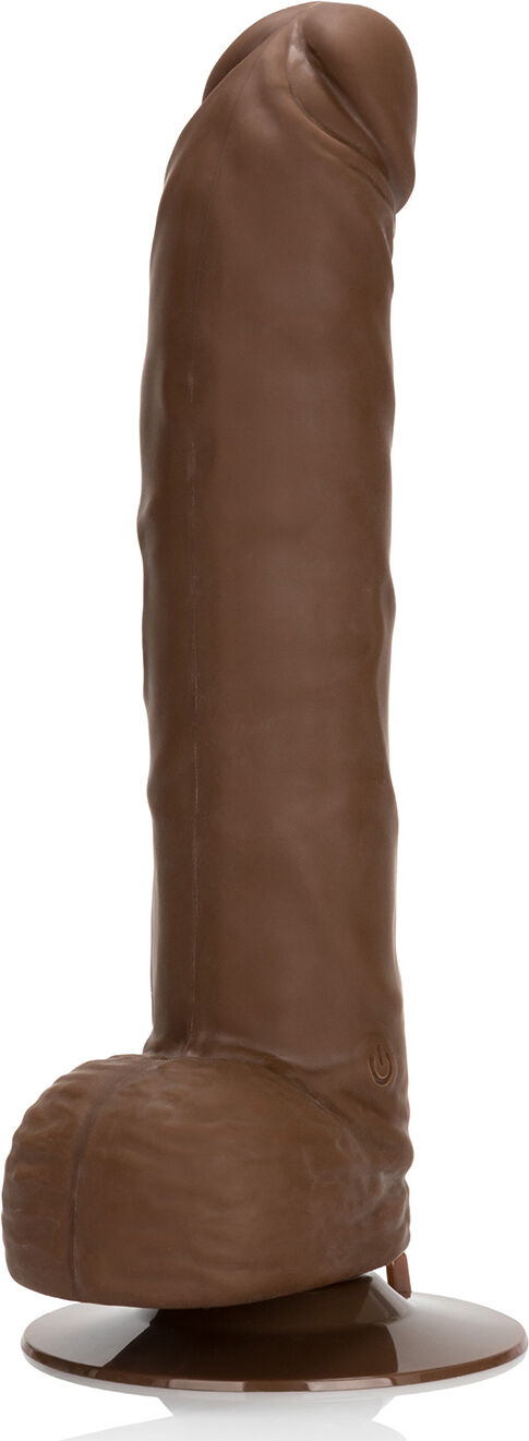 10-Function G Emperor Brown 10-Function G Emperor Brown