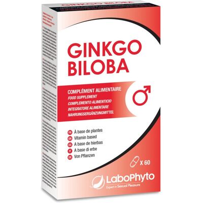 Labophyto Ginkgo Biloba 60 kapslar Labophyto Ginkgo Biloba 60 kapslar
