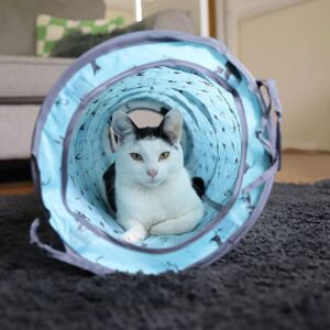 Battersea Kattält Och Tunnel Pop-Up Blå