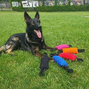 Dingo Gear Bungee Hundspel - Flexibla Handtag - 8x22 cm Dingo Gear Bungee Hundspel - Flexibla Handtag - 8x22 cm