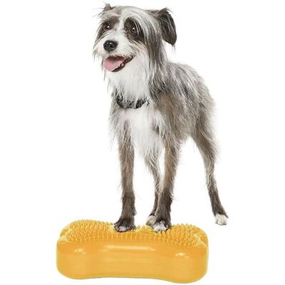 Fitpaws K9fitbone Mini Balansplattor Till Hund 2-Pack Orange Fitpaws K9fitbone Mini Balansplattor Till Hund 2-Pack Orange