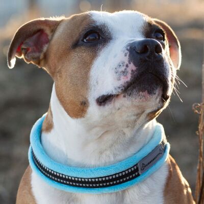 Kusse & Kutta Fluffigt Hundhalsband Ljusblå 5 Kusse & Kutta Fluffigt Hundhalsband Ljusblå 5