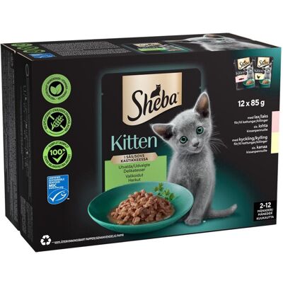 Sheba Kitten Våtfoder Till Kattunge Med Lax Och Kyckling 12x85 G Sheba Kitten Våtfoder Till Kattunge Med Lax Och Kyckling 12x85 G