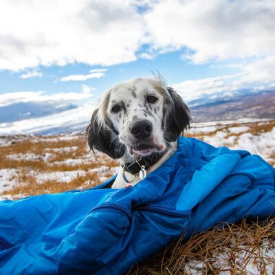 Non-stop dogwear Ly Sovepose - Blå M hundsovepose Non-stop dogwear Ly Sovepose - Blå M hundsovepose