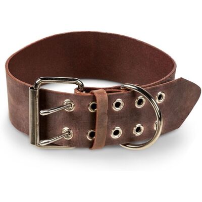 Feel Brett Hundhalsband I Läder Brun 5,7 cm x 50-60 cm Feel Brett Hundhalsband I Läder Brun 5,7 cm x 50-60 cm