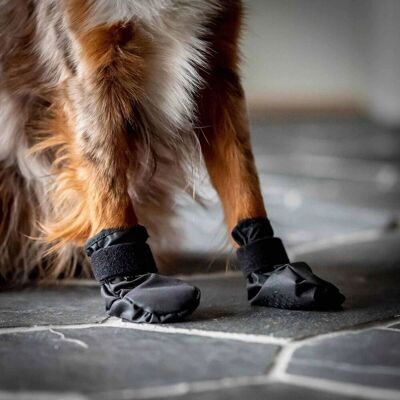 Back On Track Koda Hundskor XXL Back On Track Koda Hundskor XXL