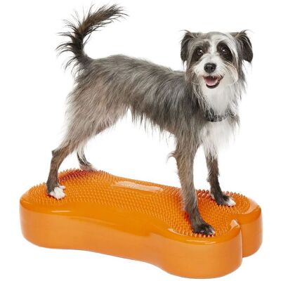 Fitpaws K9fitbone Balansplatta Till Hund Orange Fitpaws K9fitbone Balansplatta Till Hund Orange