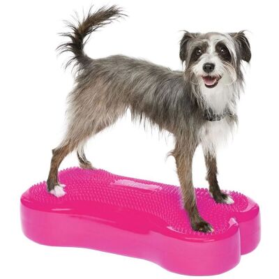 Fitpaws K9fitbone Balansplatta Till Hund Fuchsia Fitpaws K9fitbone Balansplatta Till Hund Fuchsia