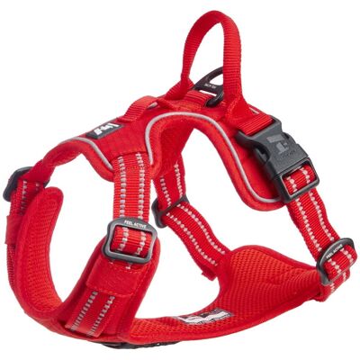 Feel Active Training Hundsele Röd XL Feel Active Training Hundsele Röd XL