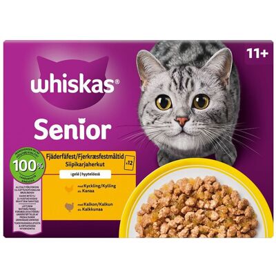 Whiskas 11+ Våtfoder Till Katt Senior Fjäderfä I Gelé 12x85 G Whiskas 11+ Våtfoder Till Katt Senior Fjäderfä I Gelé 12x85 G