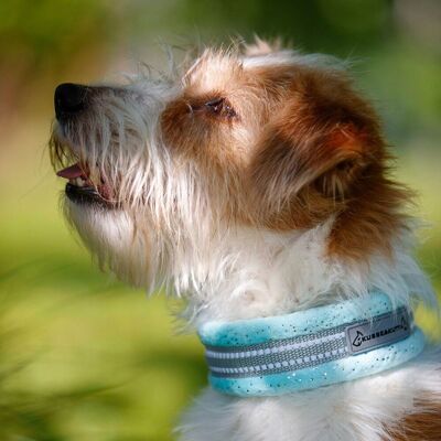 Kusse & Kutta Hundhalsband Mjuk Glitter Ljusblå 5 Kusse & Kutta Hundhalsband Mjuk Glitter Ljusblå 5