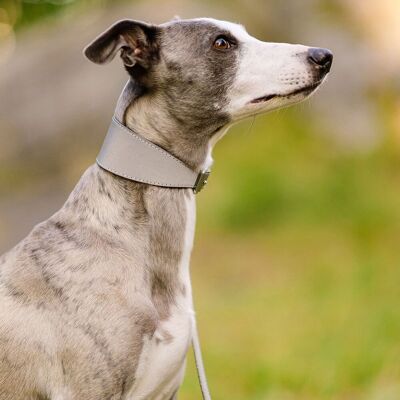 Collar Of Sweden Halsband Brett Med Reflex L Collar Of Sweden Halsband Brett Med Reflex L