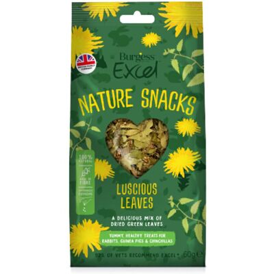 Burgess Excel Luscious Leaves Smådjursgodis 60 G Burgess Excel Luscious Leaves Smådjursgodis 60 G