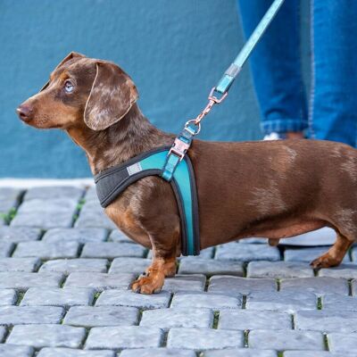 Rogz Urban Fast-Fit Hundsele Turkos S/M Rogz Urban Fast-Fit Hundsele Turkos S/M