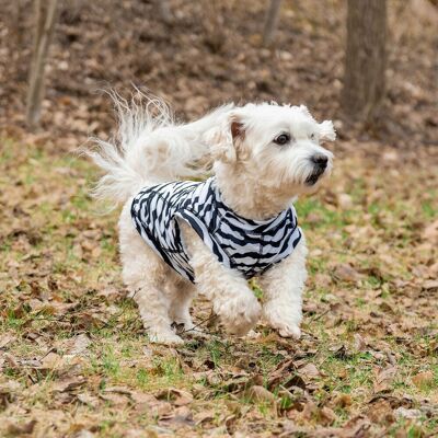 Rukka Zebra Fästingskydd Hundtröja XL Rukka Zebra Fästingskydd Hundtröja XL