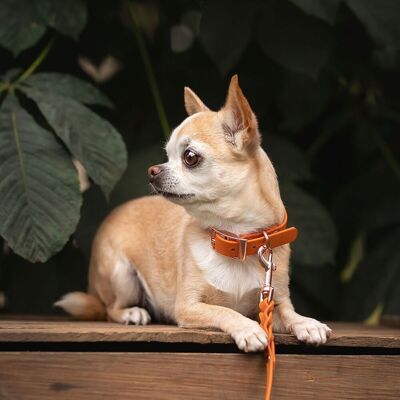 Tyylivoitto Classy Hundhalsband Liten Modell Mörk Orange Tyylivoitto Classy Hundhalsband Liten Modell Mörk Orange