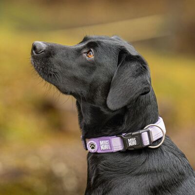 Max&Molly Max & Molly Smart Id Hundhalsband Matrix 2.0 Lila 1,5x22-35cm Max&Molly Max & Molly Smart Id Hundhalsband Matrix 2.0 Lila 1,5x22-35cm