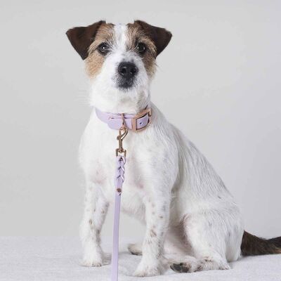Tyylivoitto Hundkoppel Flätat Lila 9mm x 200cm Tyylivoitto Hundkoppel Flätat Lila 9mm x 200cm