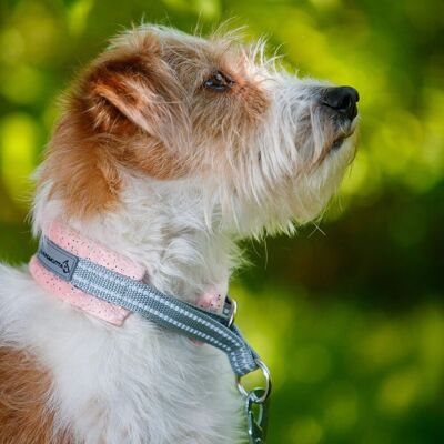 Kusse & Kutta Hundhalsband Mjuk Glitter Persika 4 Kusse & Kutta Hundhalsband Mjuk Glitter Persika 4