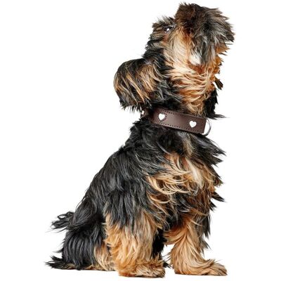Hunter Love Hundhalsband Brun 37cm Hunter Love Hundhalsband Brun 37cm