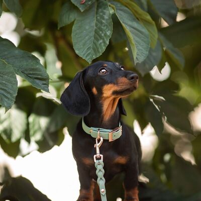 Tyylivoitto Classy Hundhalsband Ljusgrön XS Tyylivoitto Classy Hundhalsband Ljusgrön XS