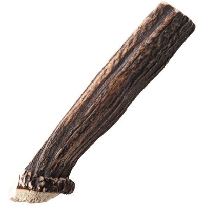 Nutriment Delat Hjorthorn Hundtugg L Nutriment Delat Hjorthorn Hundtugg L