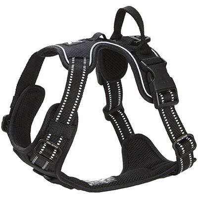 Feel Active Training Hundsele Svart M Feel Active Training Hundsele Svart M