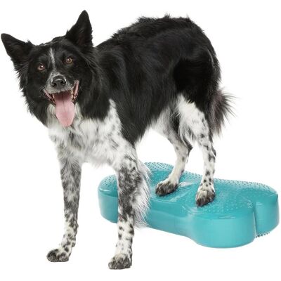 Fitpaws K9fitbone Balansplatta Till Hund Blå Fitpaws K9fitbone Balansplatta Till Hund Blå