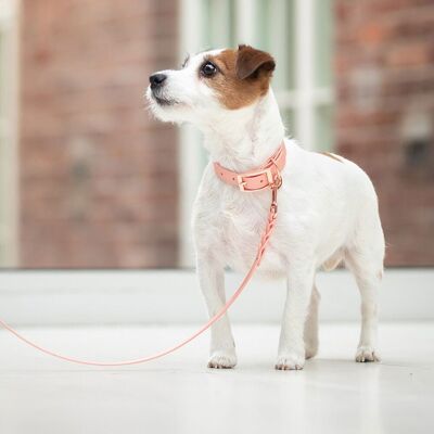 Tyylivoitto Classy Hundhalsband Persika XS Tyylivoitto Classy Hundhalsband Persika XS