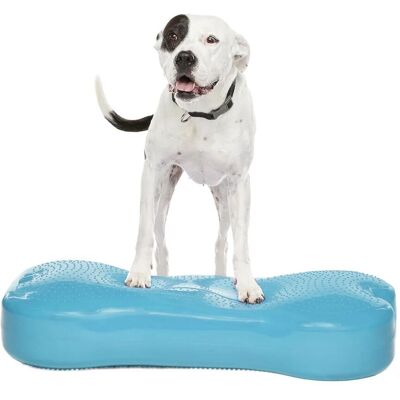 Fitpaws K9fitbone Giant Balansplatta Till Hund Turkos Fitpaws K9fitbone Giant Balansplatta Till Hund Turkos