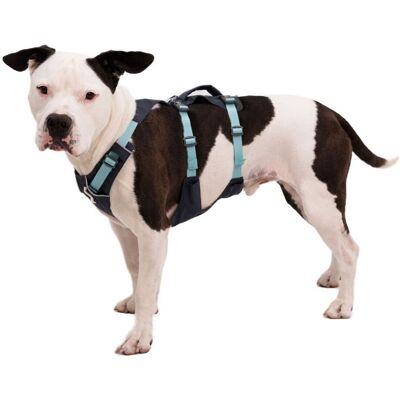 Ruffwear Flagline Hundsele Grå/turkos XXS Ruffwear Flagline Hundsele Grå/turkos XXS