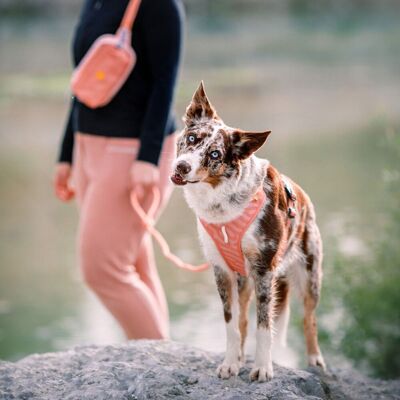 Woolly Wolf Roam Hundsele Rosa XL Woolly Wolf Roam Hundsele Rosa XL