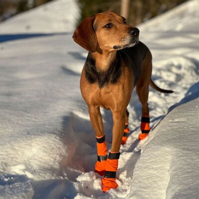 Non-Stop Dogwear Contact Bootie Hög Hundsko 4 St 2xs Non-Stop Dogwear Contact Bootie Hög Hundsko 4 St 2xs