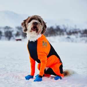 Non-stop Dogwear Protector Snow Hundoverall Hane Svart & Orange (L)