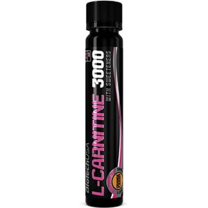 Biotechusa L-carnitine 3000 25 Ml Lemon