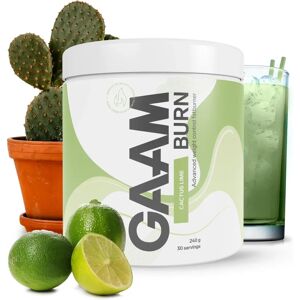 Gaam Burn 240 G Cactus Lime