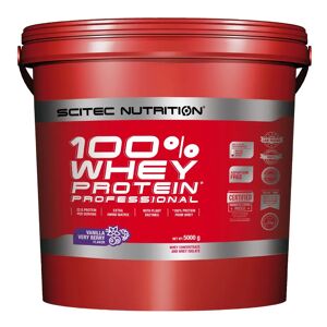 Scitec Nutrition 100% Whey Protein Professional 5 Kg Vanilla Very Berr